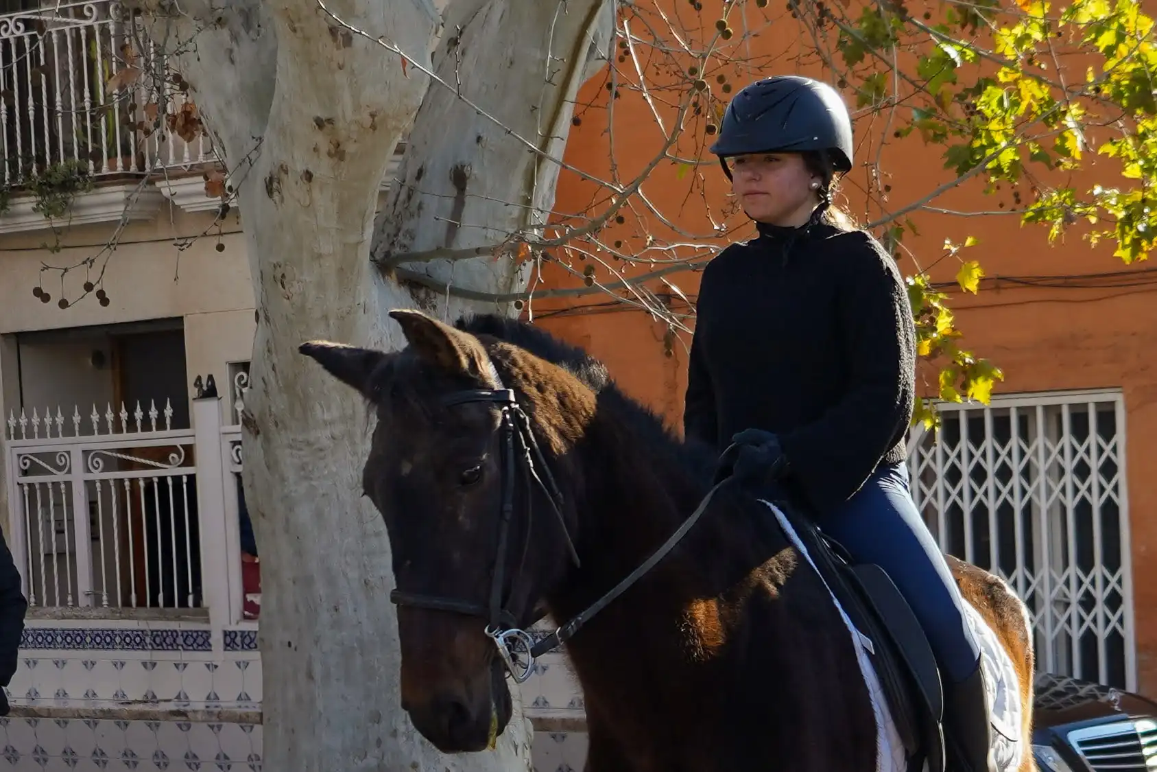Chica montando un caballo oscuro en la bendición de animales de Sant Antoni 2025 en Marxuquera.