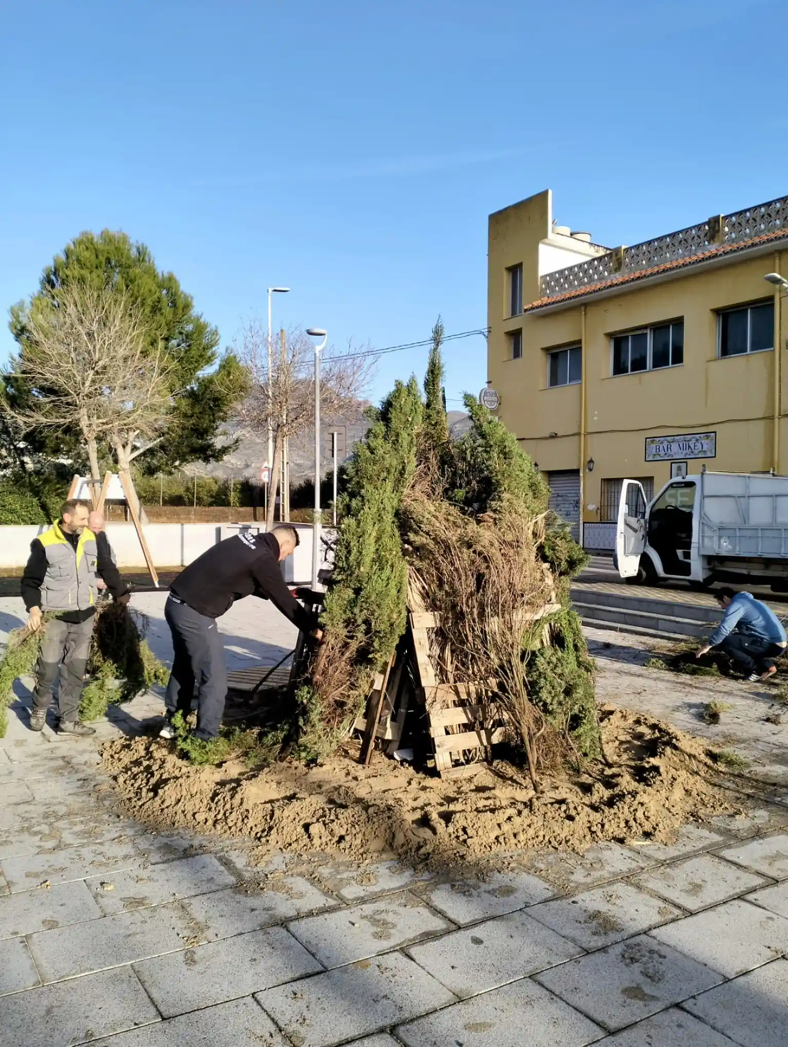 Miembros de la comisión de Festes Marxuquera colocando ramas durante el montaje de la hoguera para Sant Antoni 2025.
