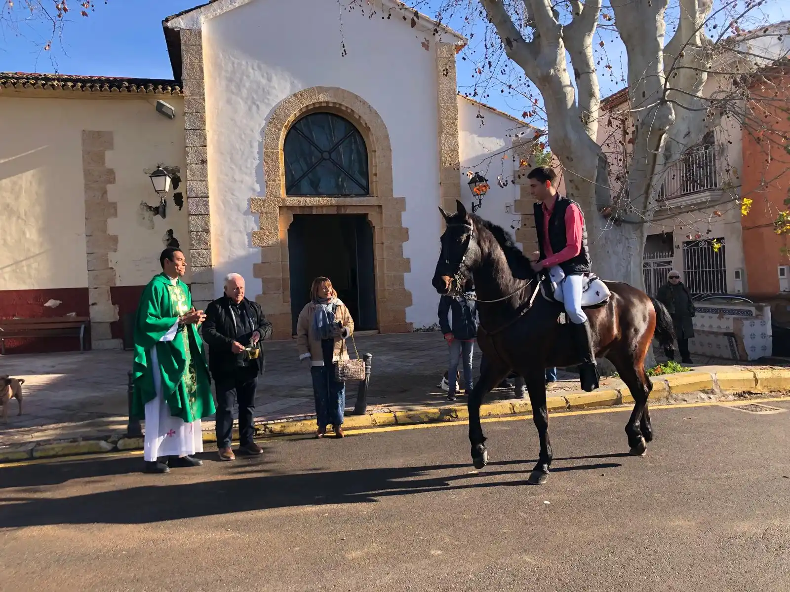 Jinete con camisa roja montando un caballo oscuro durante la bendición en Sant Antoni 2025.