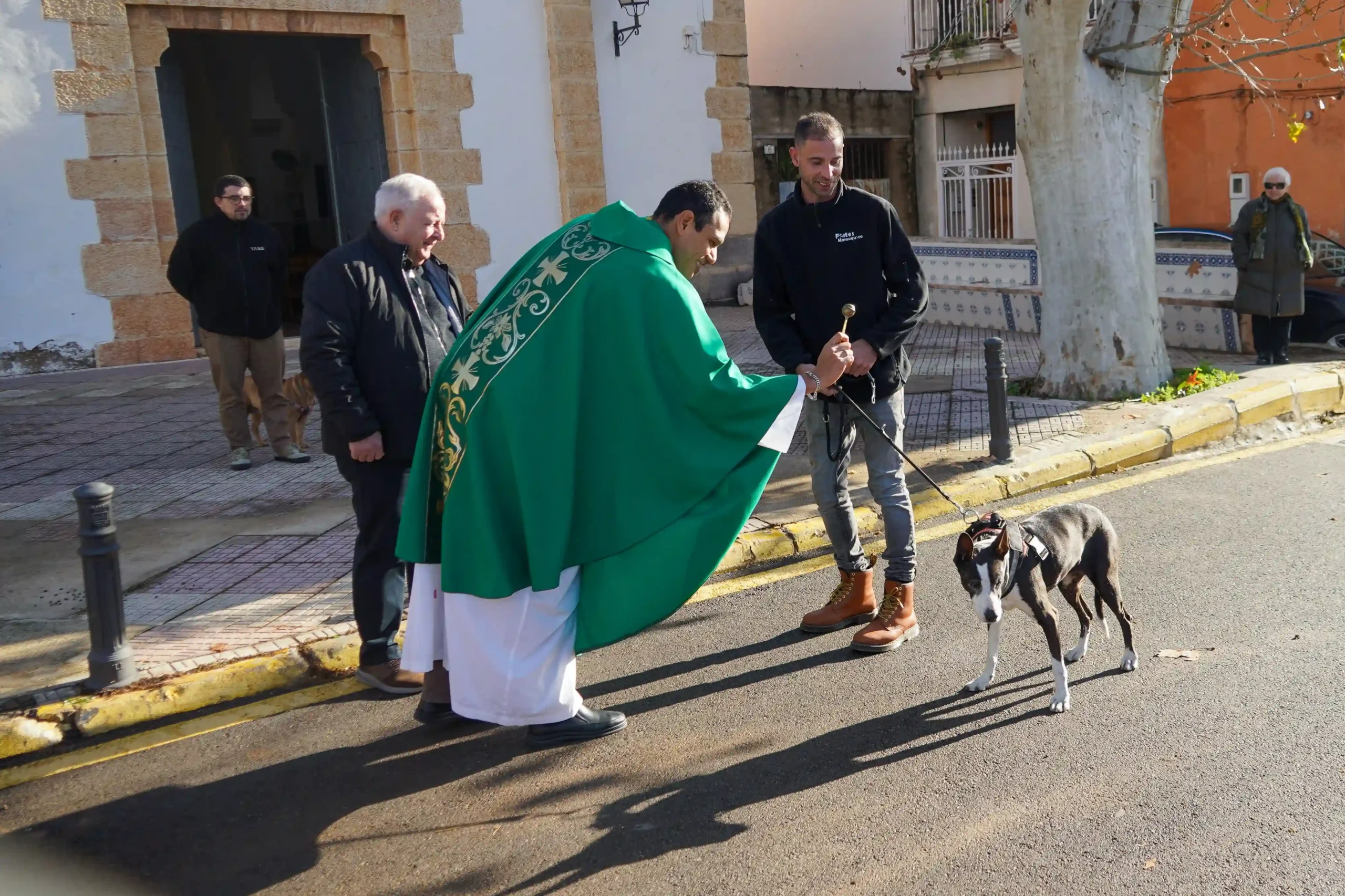 Perra de una miembro de la comisión recibiendo la bendición frente a la iglesia en Sant Antoni 2025 en Marxuquera.
