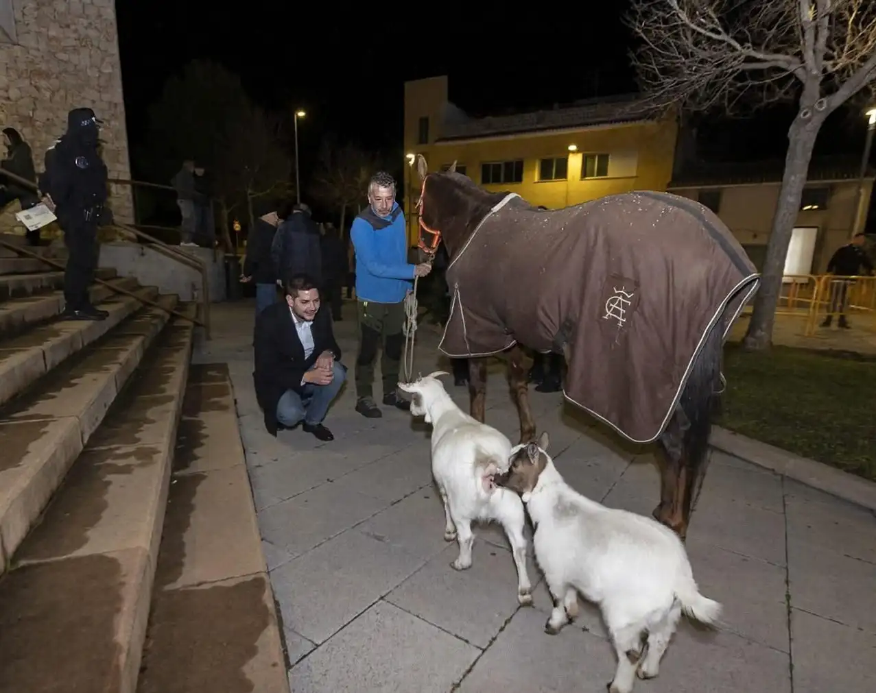 Cabra y caballo listos para la bendición de animales en Sant Antoni 2025 en Marxuquera.